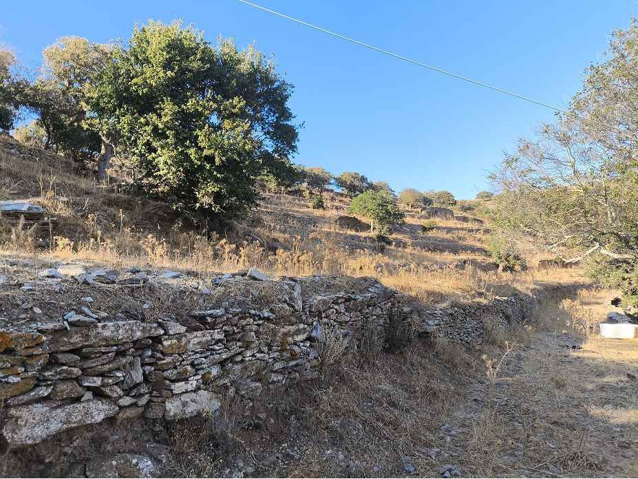 Parcel of 11400 m²