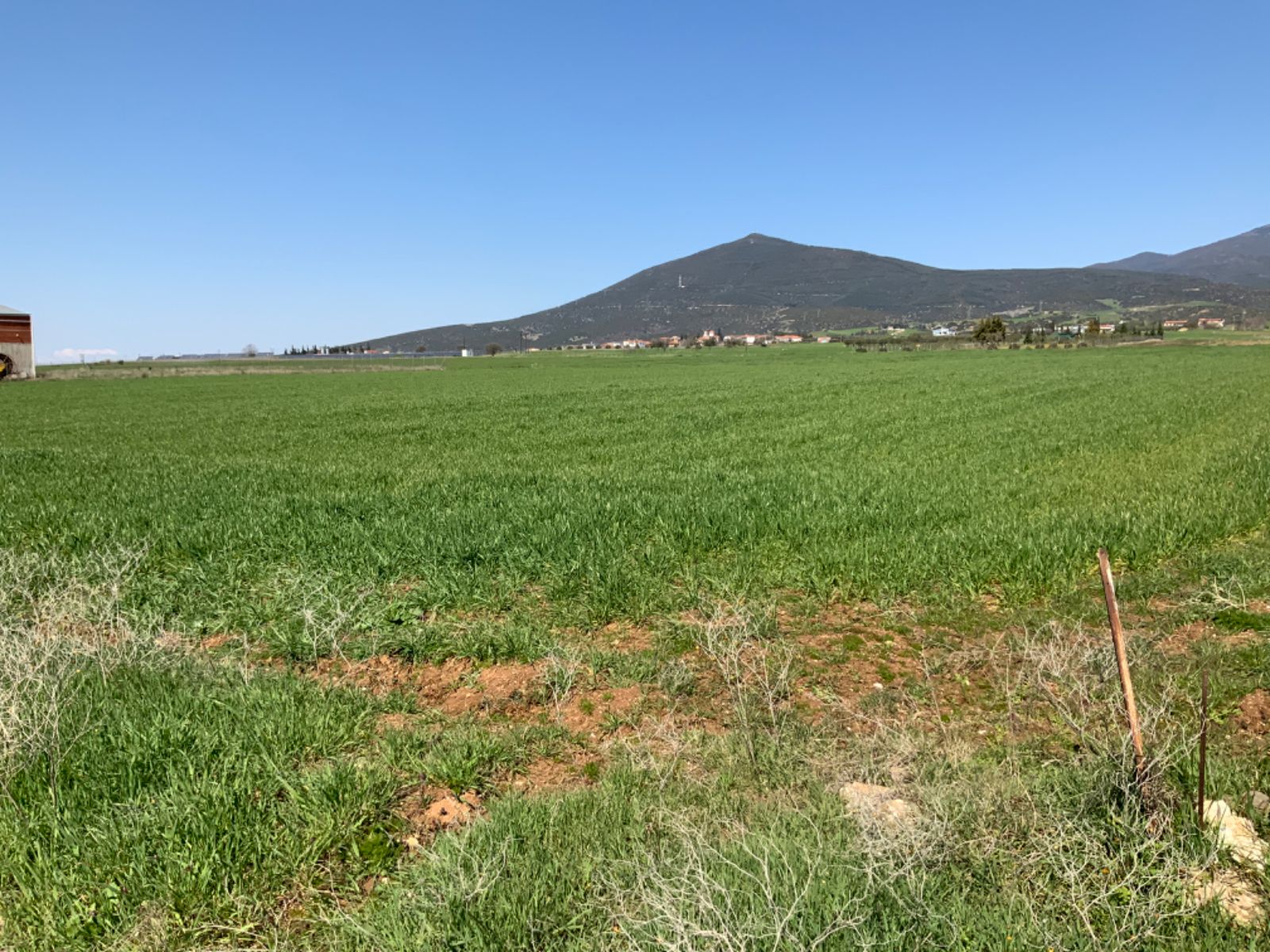8200 m² Parcel