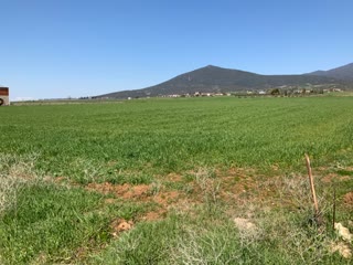 8200 m² Parcel