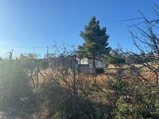 353 m² Plot