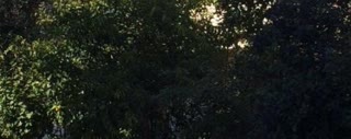 Участок 240 м²
