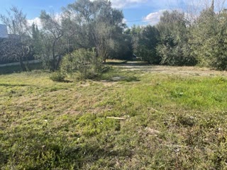 1000 m² Plot