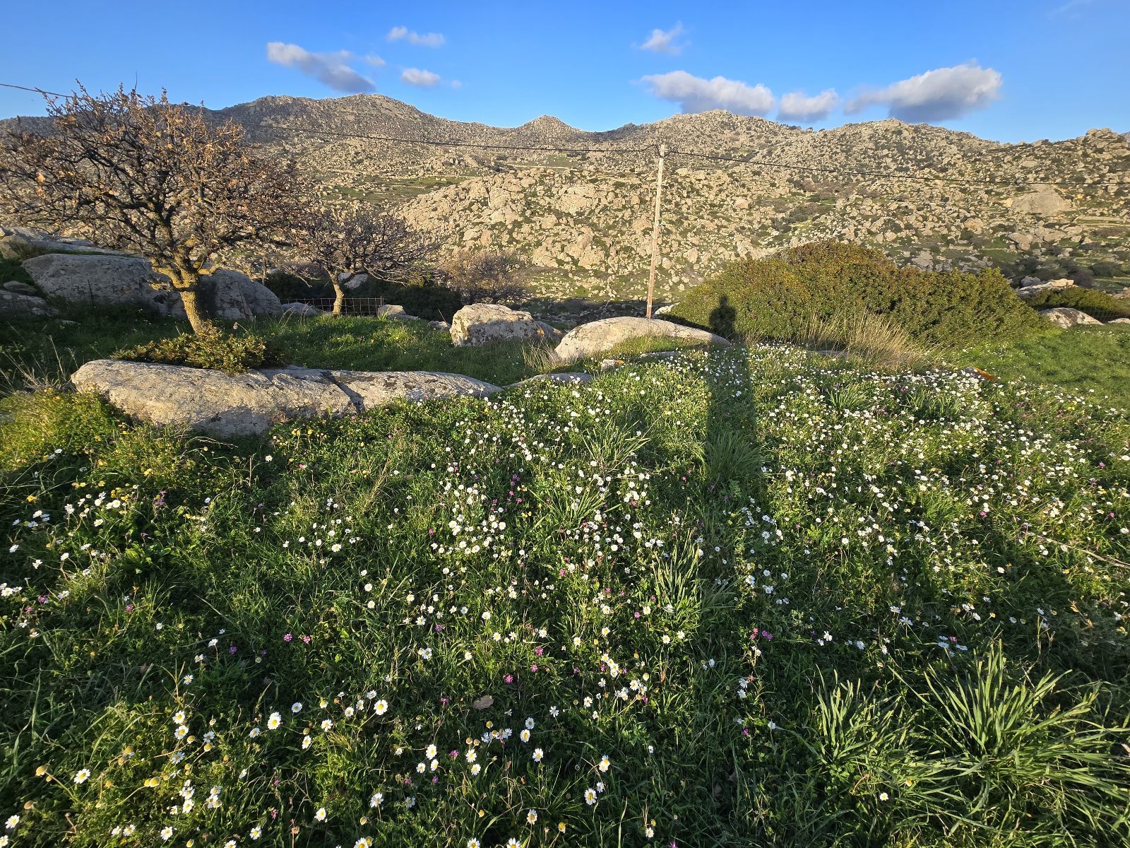 301 m² Plot