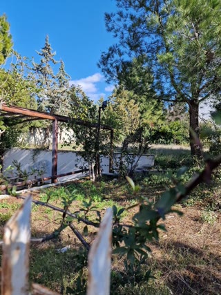 1200 m² Plot