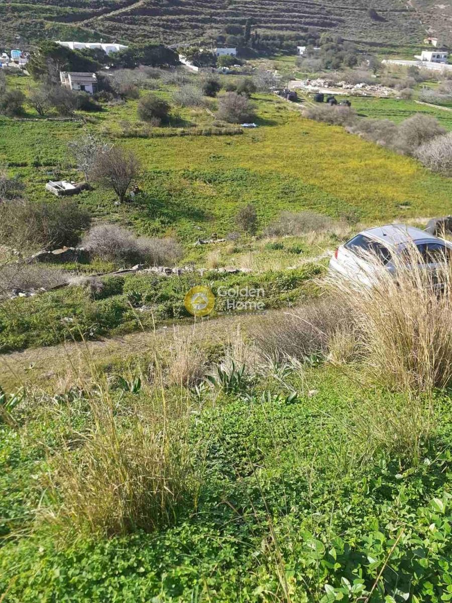 Οικόπεδο 4300 τ.μ.