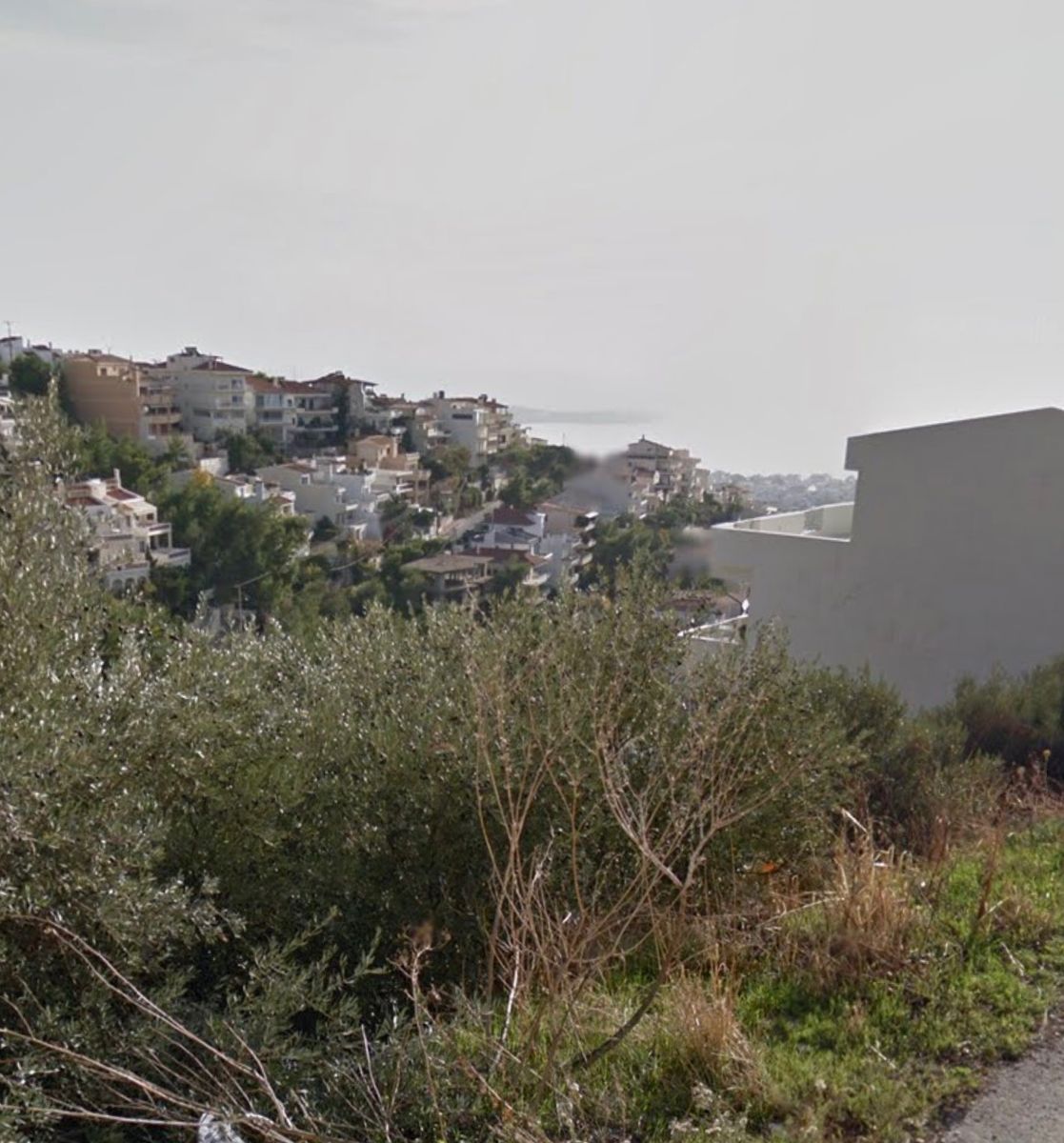 365 m² Plot
