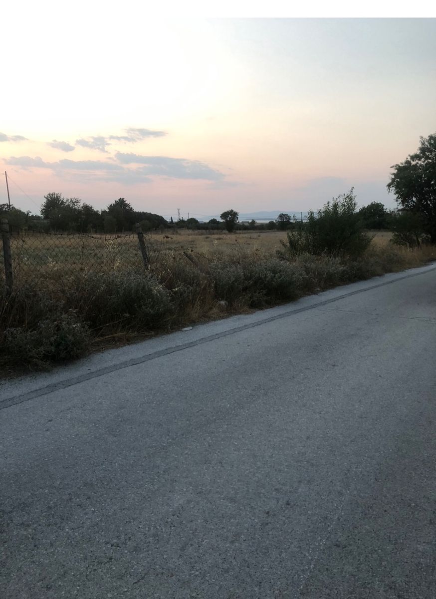 10000 m² Parcel