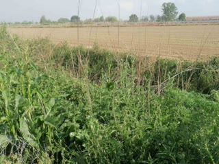 15370 m² Parcel