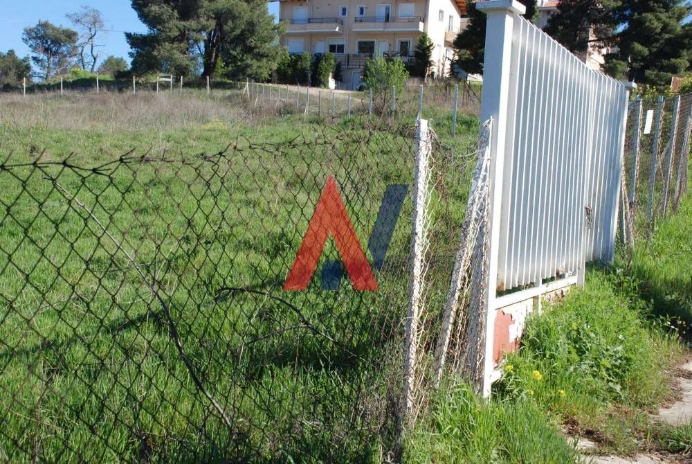 Οικόπεδο 1668 τ.μ.
