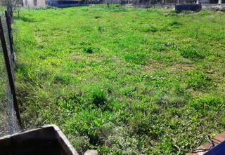 710 m² Plot
