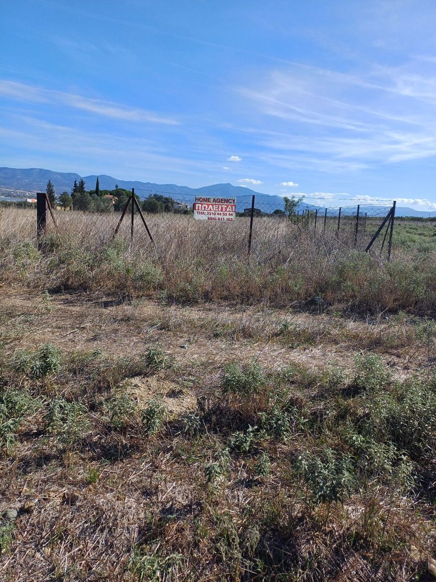4000 m² Parcel