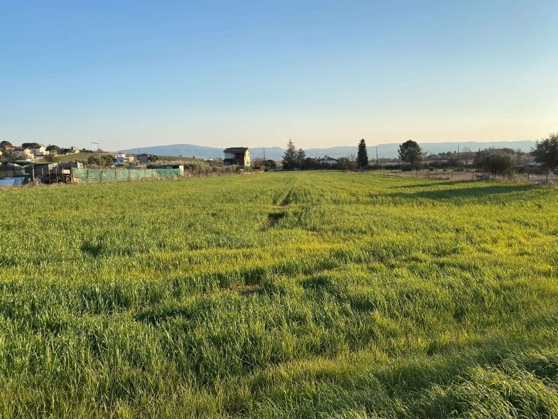 7650 m² Parcel