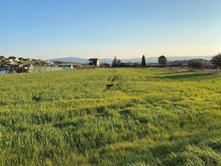 Участок, 7650 м²