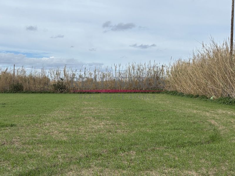 2092 m² Parcel