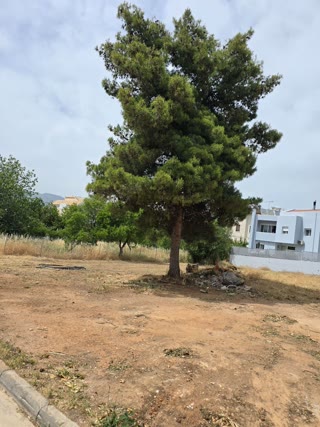 770000 m² Plot