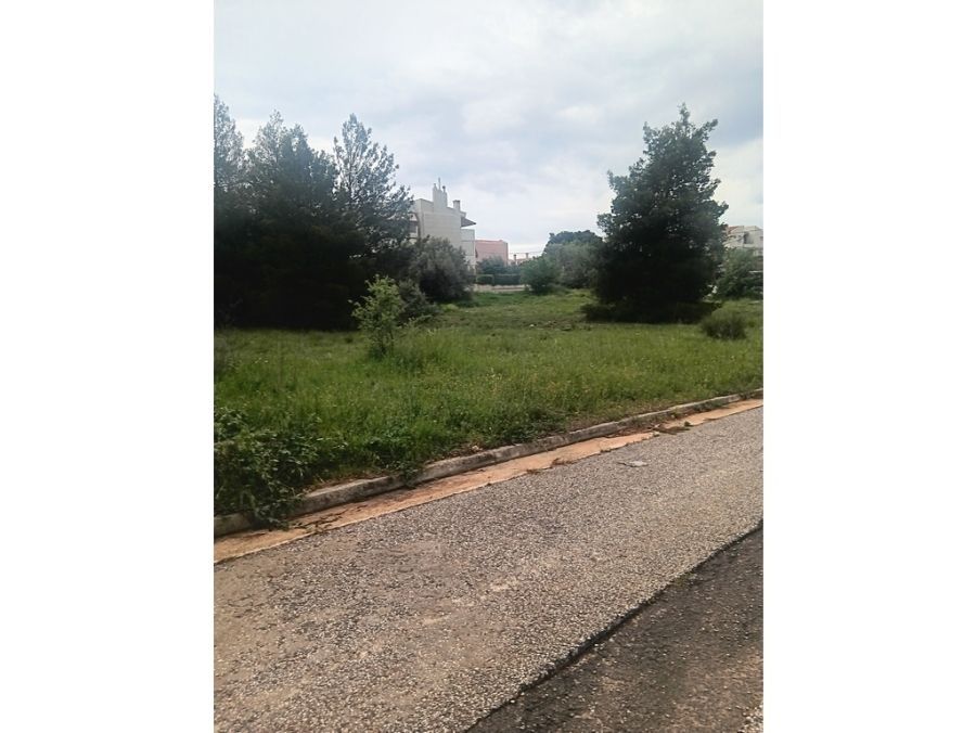 Οικόπεδο 2600τ.μ.
