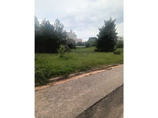2600 m² Plot