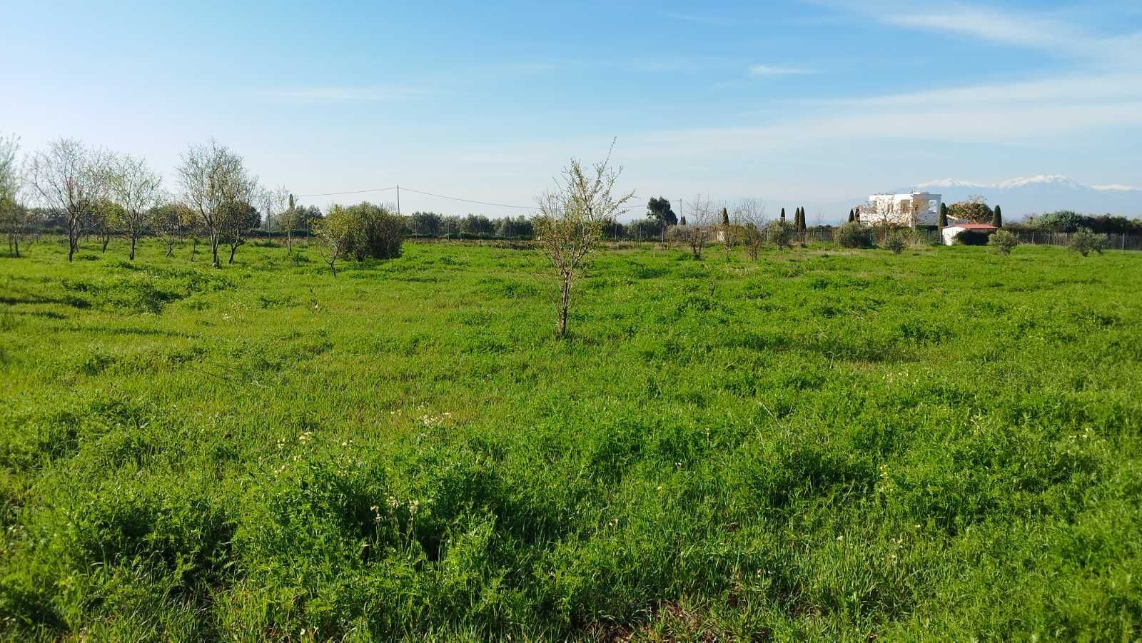 5800 m² Parcel