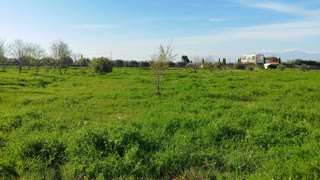 5800 m² Parcel