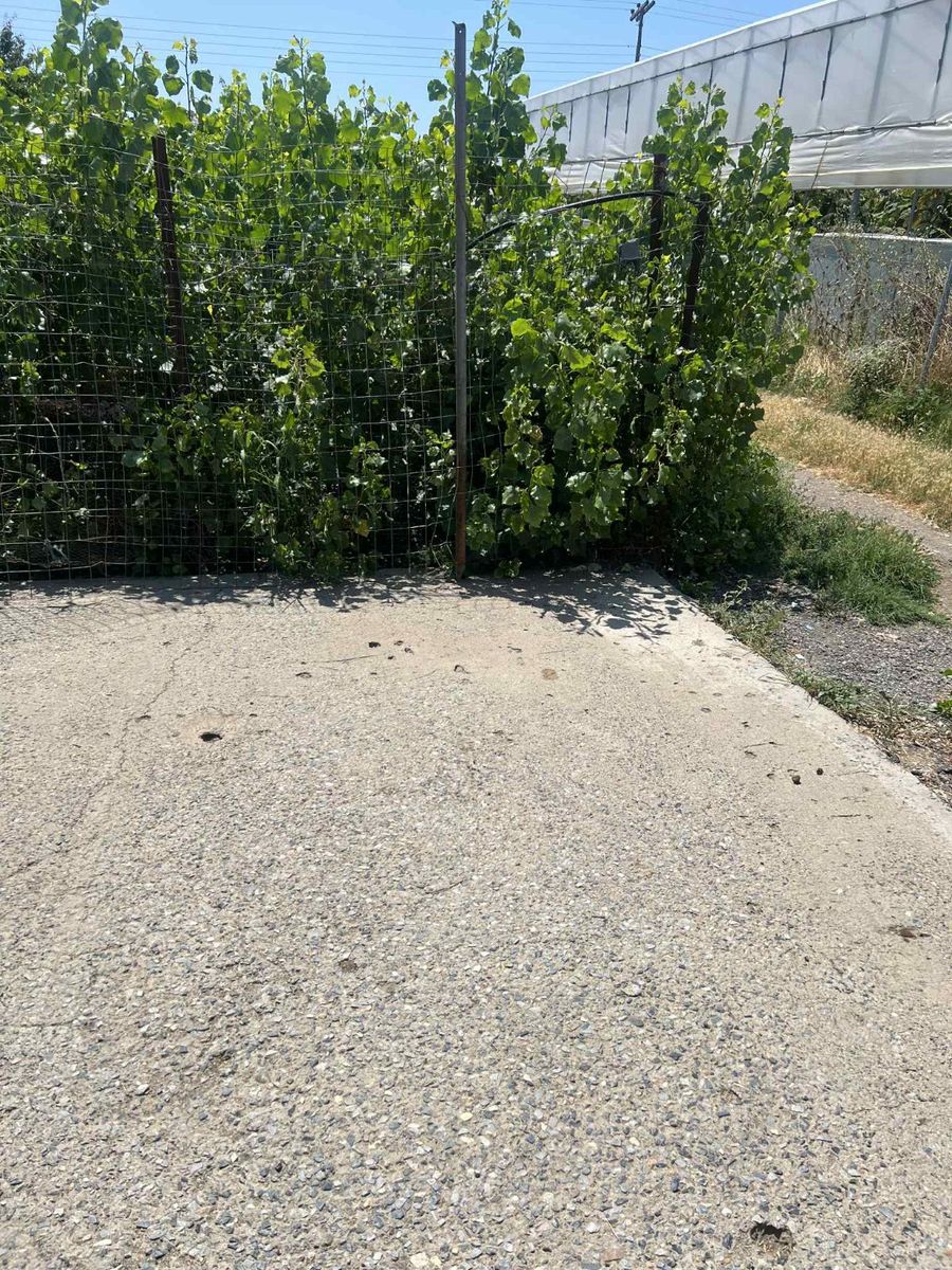 Parcel of 650 m²