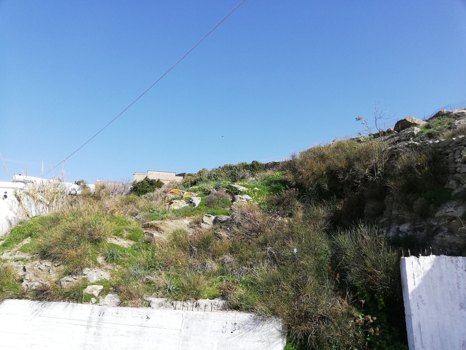 423 m² Plot
