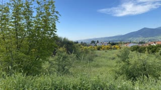 Участок 3500 м²