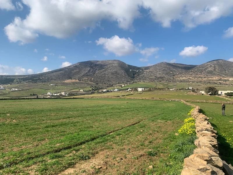 7108 m² Parcel