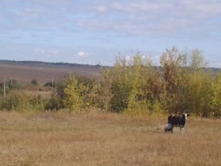 Дача, участок в дергачах 12 ты