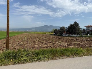 4650 m² Parcel