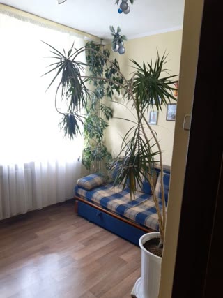 3-room Apartment in Izyum Center