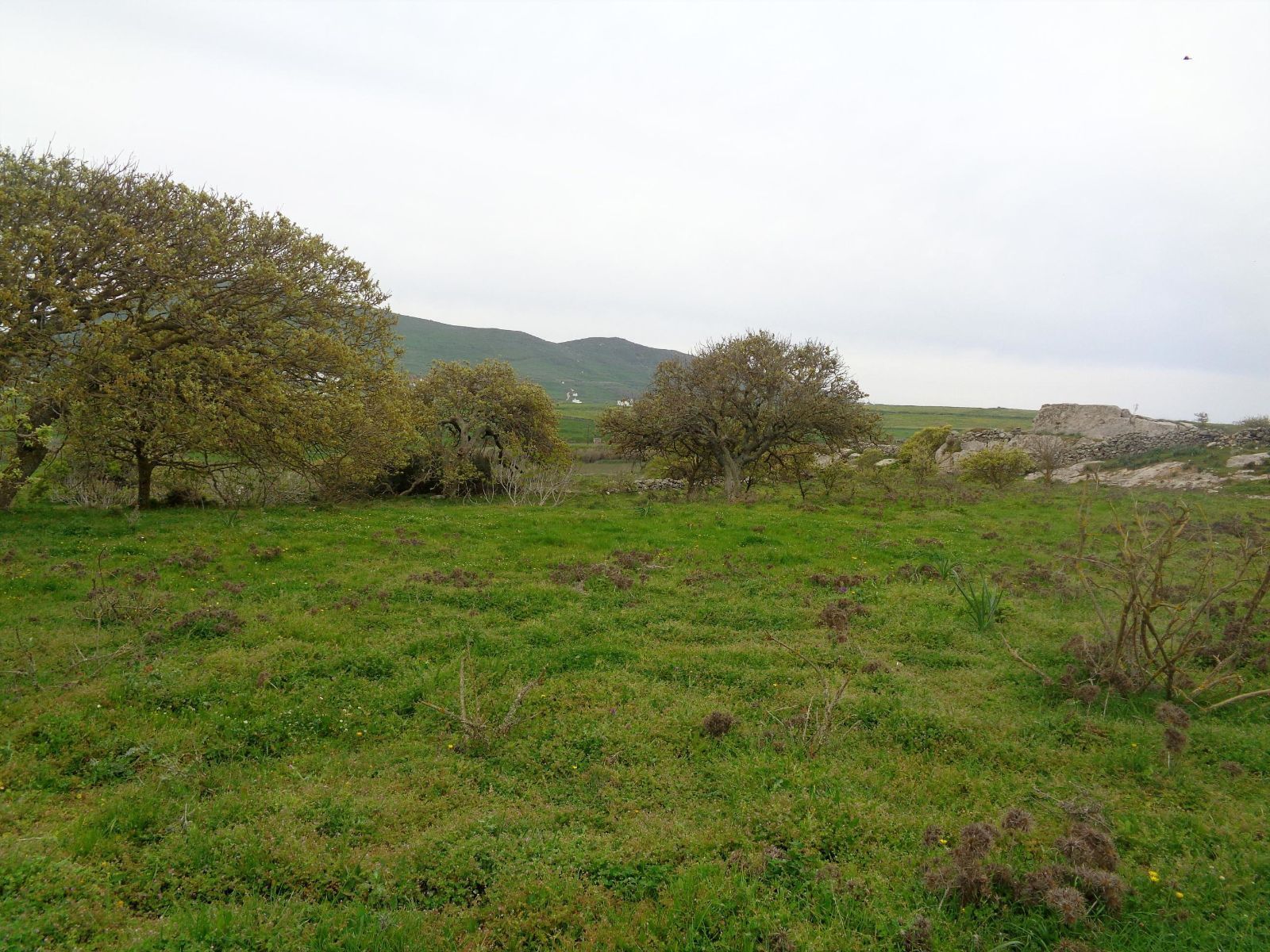 Parcel of 13000 m²