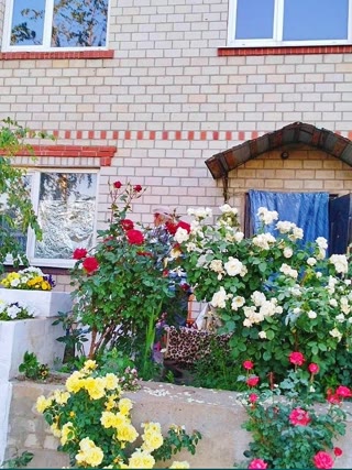 Продам двоповерховий будинок Нова Водолага