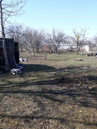 Доча в місті на Баварії