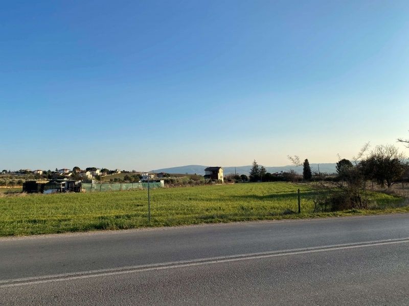 7650 m² Parcel