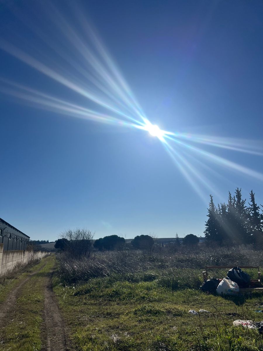 Αγροτεμάχιο 36071 τ.μ.