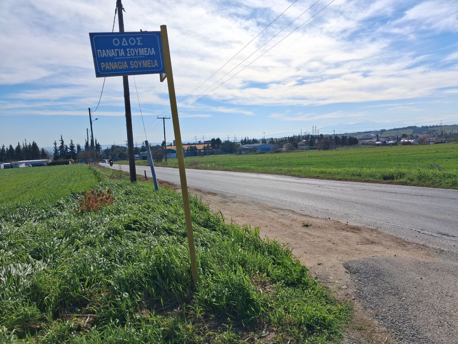 2500 m² Plot