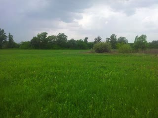 Продам земельну ділянку Солоницівка, Дергачівський р-н