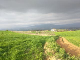 10000 m² Parcel