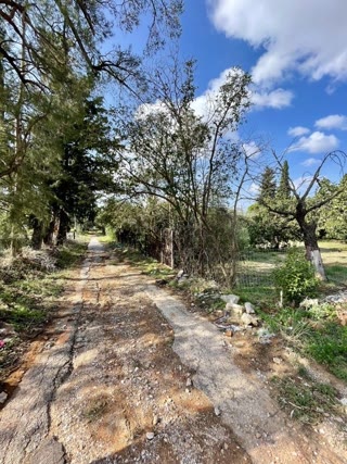 444 m² Plot