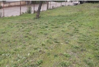 7099 m² Plot