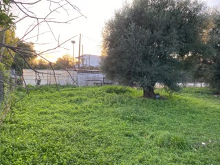 224 m² Plot