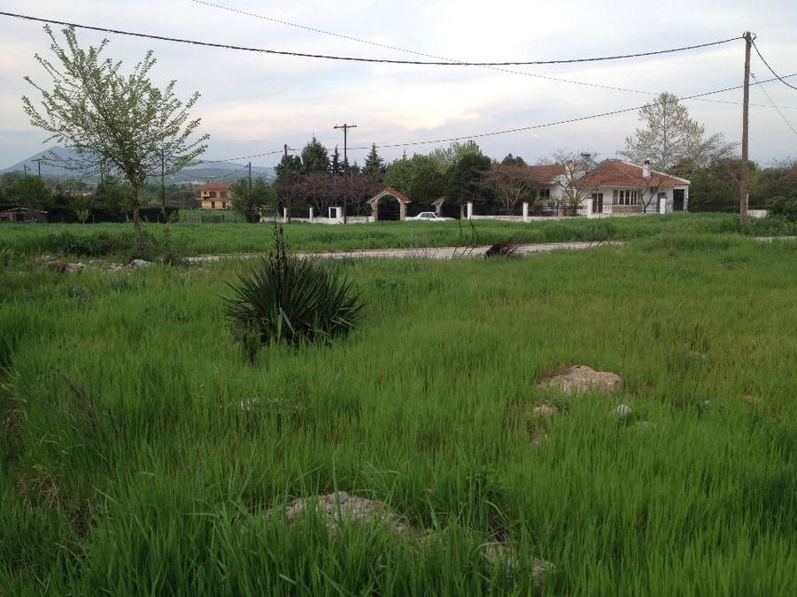 570 m² Plot