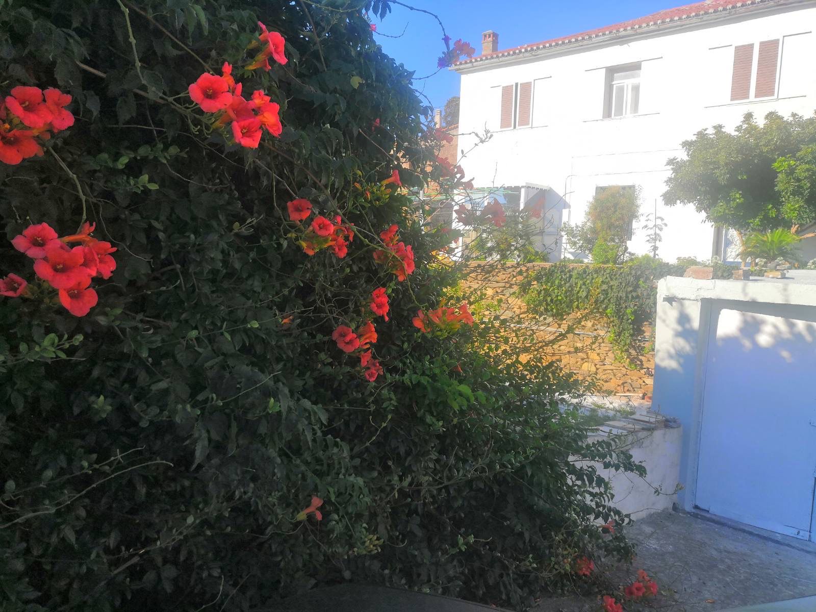 Μονοκατοικία 145τ.μ.