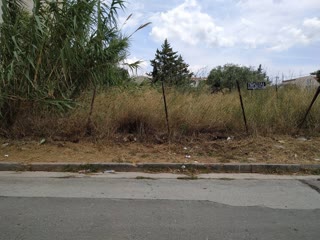1500 m² Plot