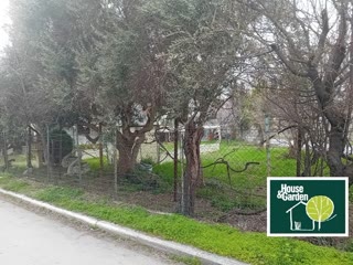 267 m² Plot