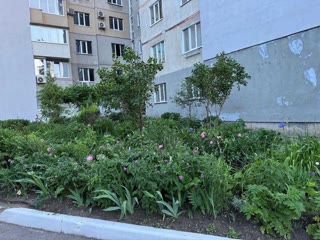 Продам 1к квартиру Північна Салтівка