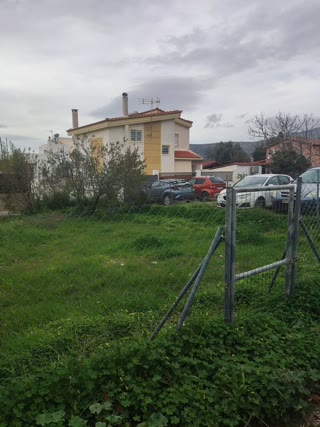 Участок 236 м²