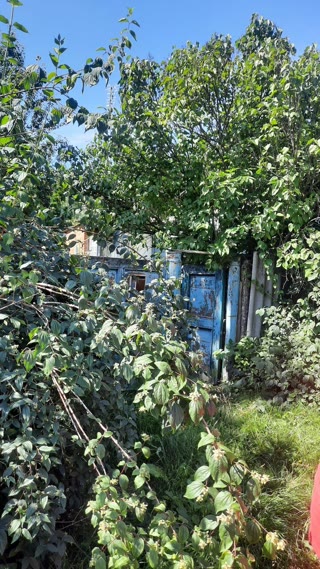 For Sale House in Nova Vodolaha