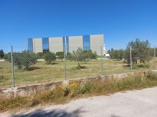 13,100 m² Parcel