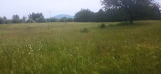 500 m² Plot